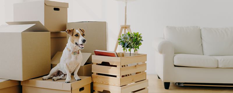 梦见墙裂缝是什么意思 梦见墙裂缝是什么预兆