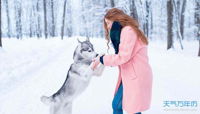 狗狗取名字带财运 给狗狗取什么名字好招财
