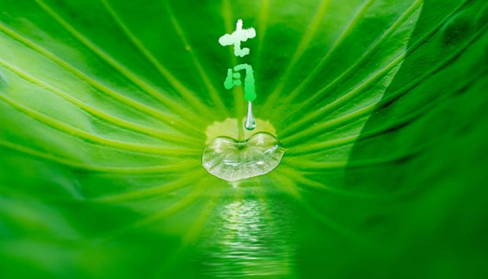 2022年7月有多少个工作日 2022年7月应出勤天数几天