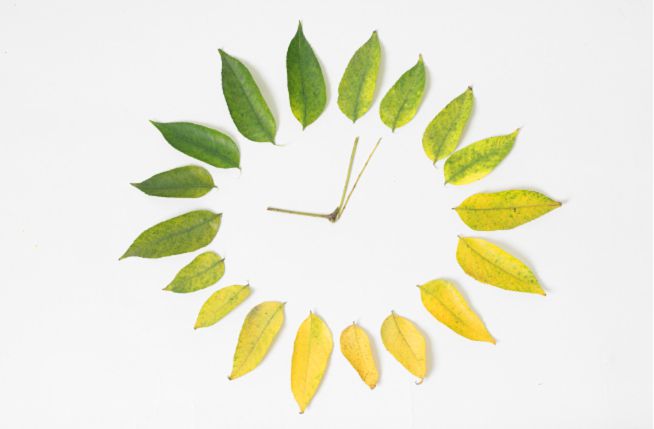 2022年24节气表图 22年二十四节气详细时间表