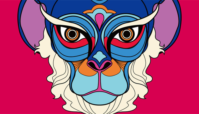 2004猴人2022年高考运势 2004年猴22年学业运解析