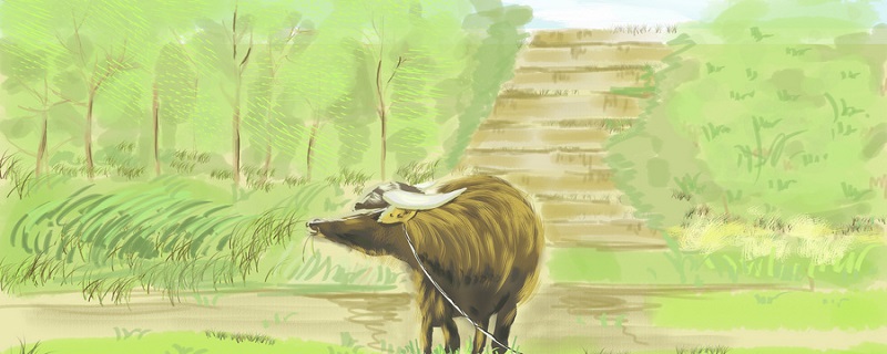 1973年是什么生肖 1973年生肖属相