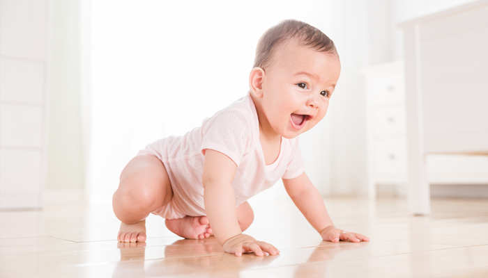 爸爸属猴妈妈属龙孩子属什么好 父母属龙和猴孩子属什么好