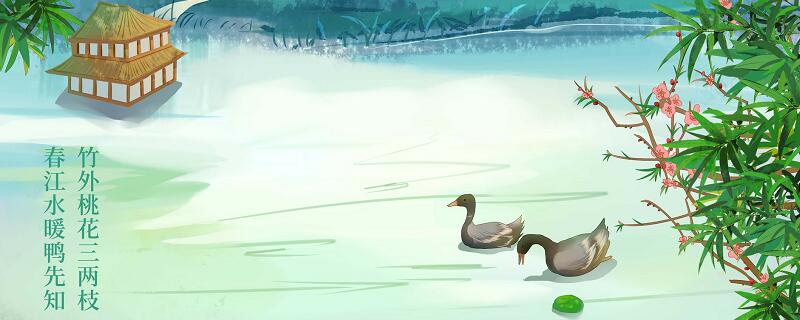 小鸭子一直叫是为什么 鸭子为什么一直叫是什么原因