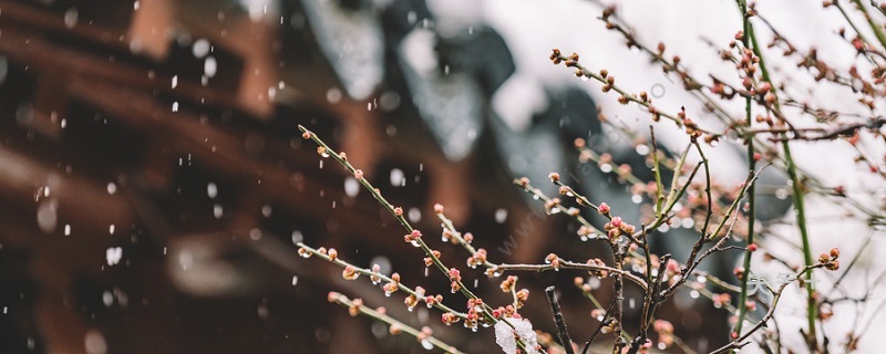 一场秋雨一场寒下一句 一场秋雨一场寒什么意思