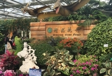 [北京景点]世界花卉大观园