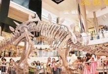 [重庆景点]北碚恐龙化石遗址