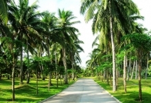 [文昌景点]椰子大观园