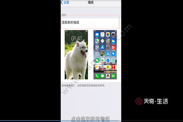 苹果手机怎么导入动态壁纸