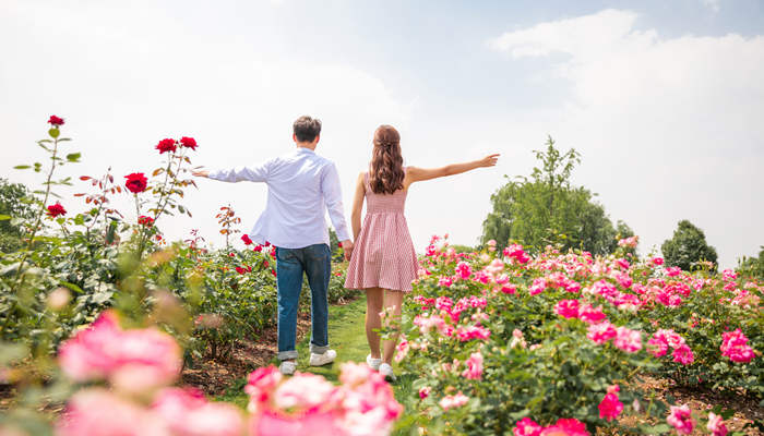 哪个星座男偏爱水瓶女 喜欢水瓶女的星座男
