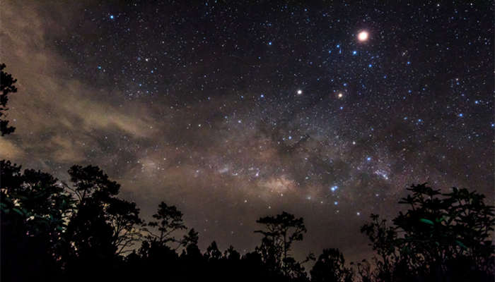 水瓶座情路上败给了谁 水瓶座的情劫是谁