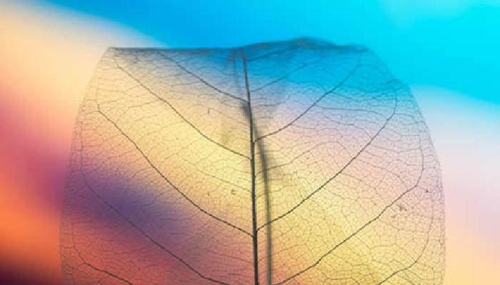 教你撩巨蟹男的正确方法 撩巨蟹男的必杀技