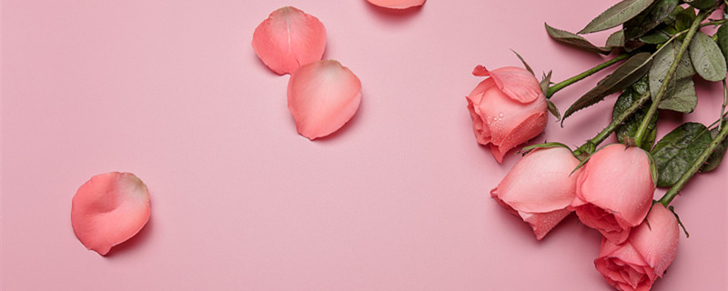 最宠爱摩羯女的星座男 最宠爱摩羯女的星座男是谁