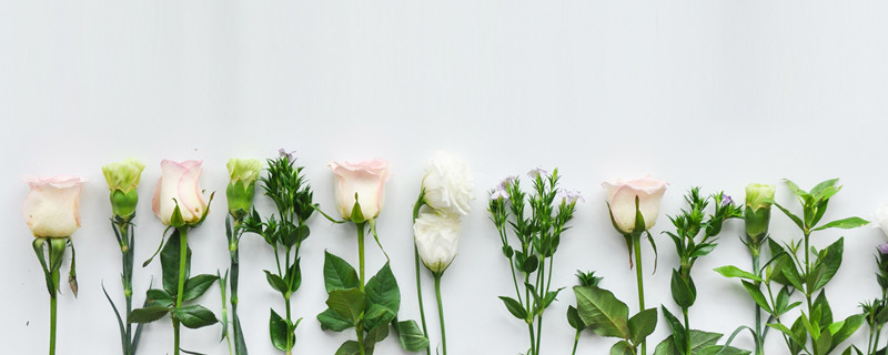 征服天蝎男的四个办法 征服天蝎男的办法