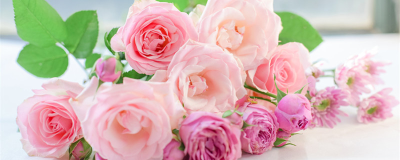 摩羯座男生和什么星座最配 摩羯座男生和哪个星座女生最配