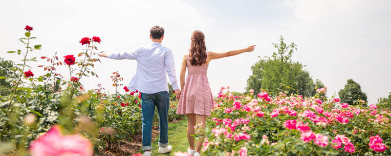 双鱼座和谁的缘分最深 双鱼座和什么座最有缘