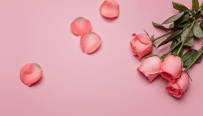 史上最准射手女爱情观 史上最准射手女爱情观是