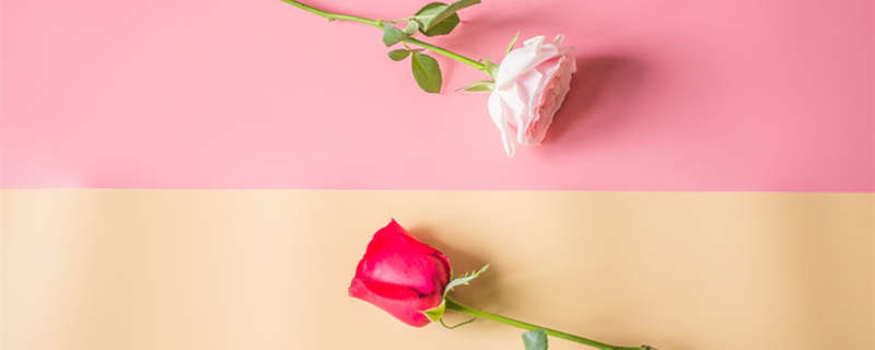 唯一可以虐巨蟹的星座 什么星座可以虐巨蟹