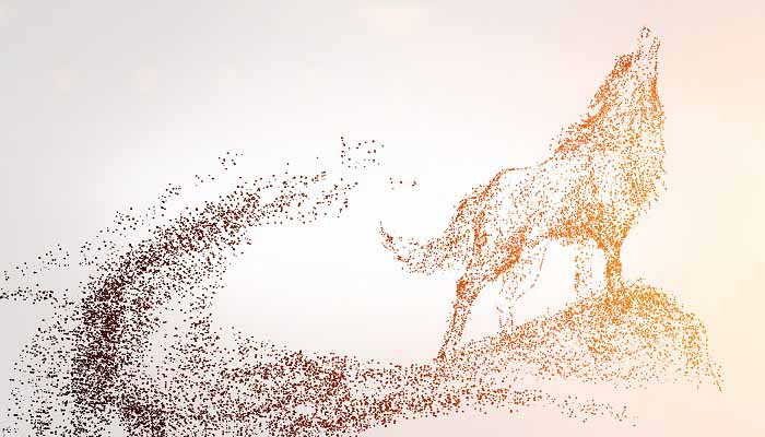 万王之王摩羯座的魅力 摩羯座的魅力