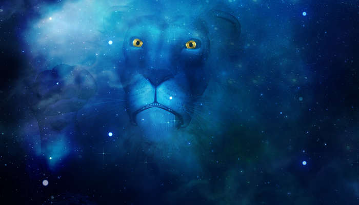 挽回狮子男的最佳时间 挽回狮子男需要什么技巧