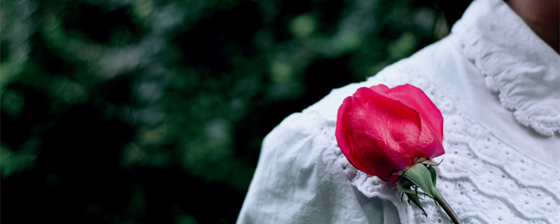 金牛男放不下哪类女人 让金牛男放不下的女生的类型