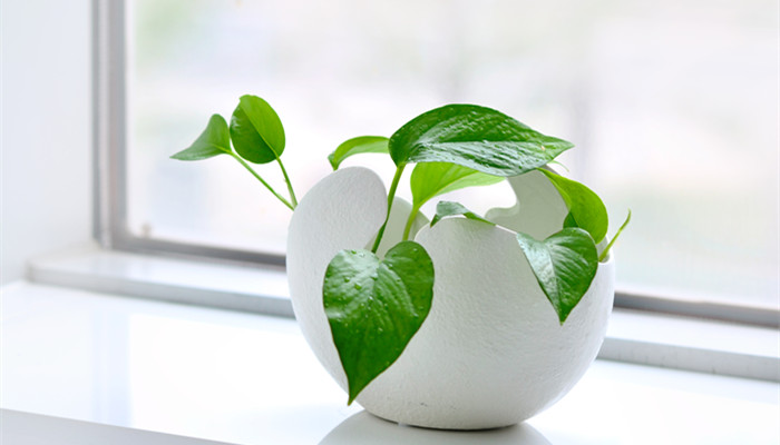 巨蟹座男人的性格特点 巨蟹座男人的性格特点分析