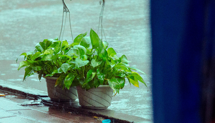 巨蟹座男人的性格特点 巨蟹座男人的性格特点分析