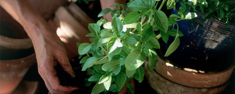 巨蟹座男人的性格特点 巨蟹座男人的性格特点分析