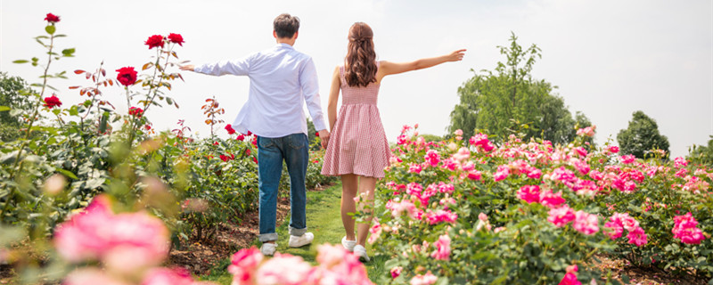 让金牛爱到骨子里的星座 让金牛爱到痴迷的星座