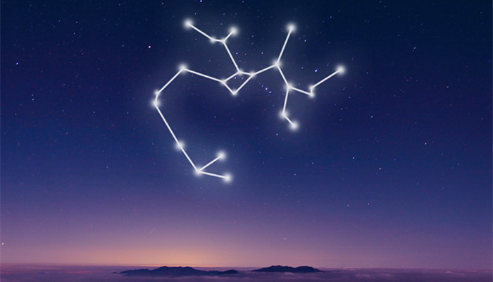 和水瓶互补最高的星座 和水瓶互补最高的是什么星座