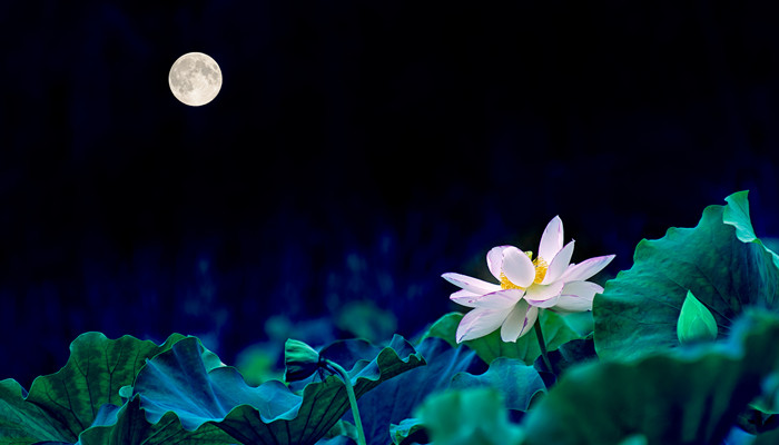 十二星座是按农历还是阳历 十二星座是按农历还是阳历来计算