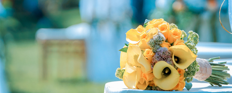 摩羯女嫁给谁最幸福 摩羯女嫁给哪个星座会最幸福