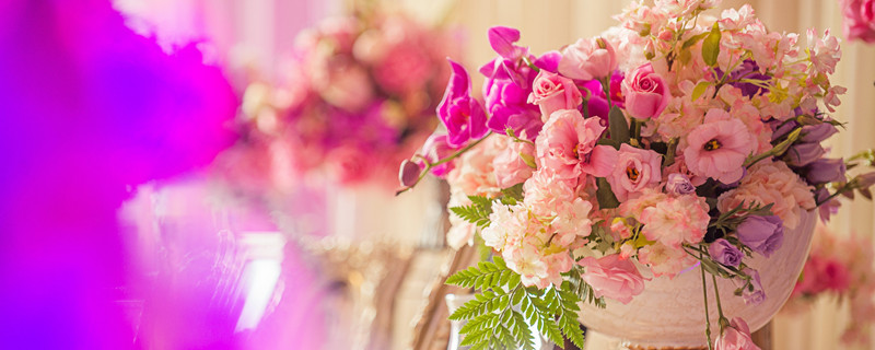 降得住狮子座的女人 十二星座中能降住狮子座的女人