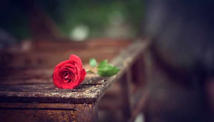 敢娶天蝎座女的星座男 天蝎座女生最配什么星座男