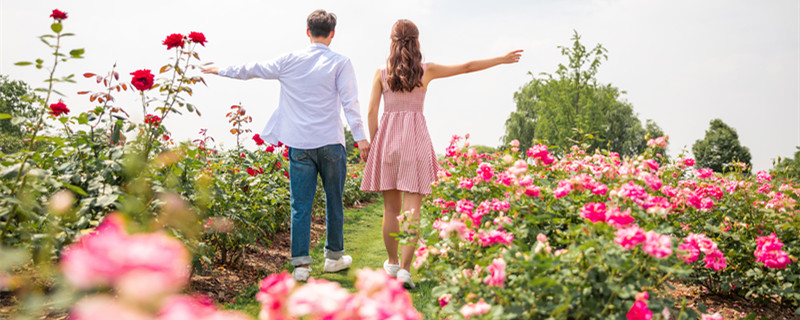 2022年心想事成的星座女 2022年心想事成是什么星座女