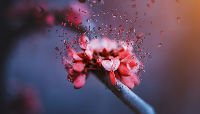 为什么很难走进射手座内心 很难走进射手座内心的原因