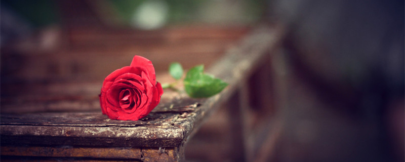 金牛座女生漂亮程度 金牛座女生的长相怎么样