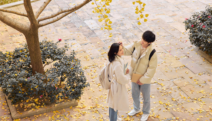 天秤女喜欢什么样的男生 天秤女喜欢什么样的男生类型