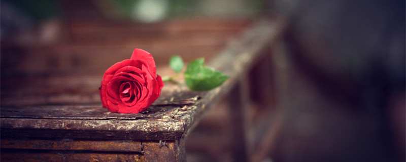 水瓶座可以预知未来吗 水瓶座有预知未来的能力吗