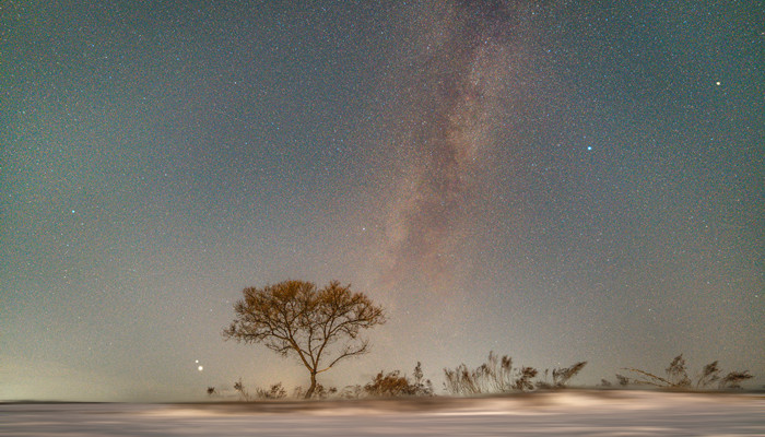 上升狮子下降星座是什么 上升狮子下降星座是哪个星座