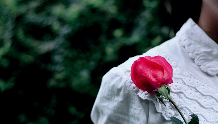 2022年12星座运势解析完整版 2022年12星座运势怎么样