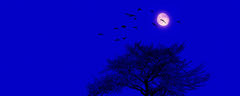 12星座的死亡之花是什么 12星座的死亡之花