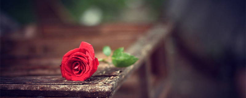 巨蟹唯一会读心术 巨蟹是不是唯一会读心术的星座