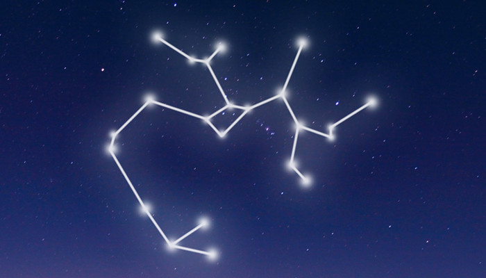 出学霸最多的星座 哪个星座最容易出学霸