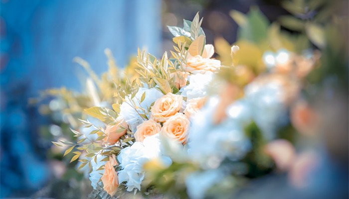 白羊男最合适的三大星座女 哪个星座的女生和白羊男