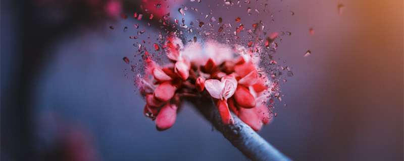 2022年桃花最旺的星座是哪些 2022年桃花最旺的星座排行榜