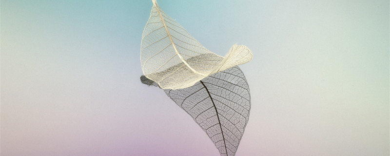 12星座男最容易娶的星座女 12星男容易娶什么星座女