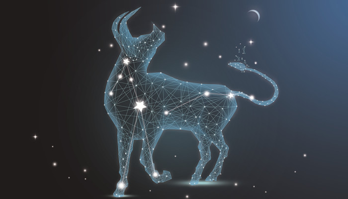 存在感最强的星座金牛座金牛座性格特点