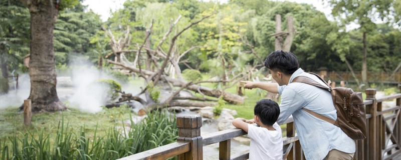 观察力最强的星座排名 十二星座观察力最强的人是谁