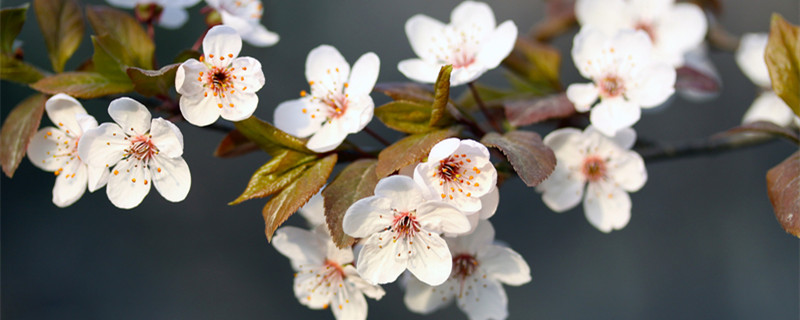 和处女座最不配的三大星座 十二星座谁和处女座最不配